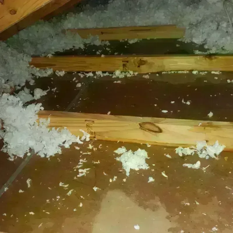 Attic Water Damage in Great Bend, KS