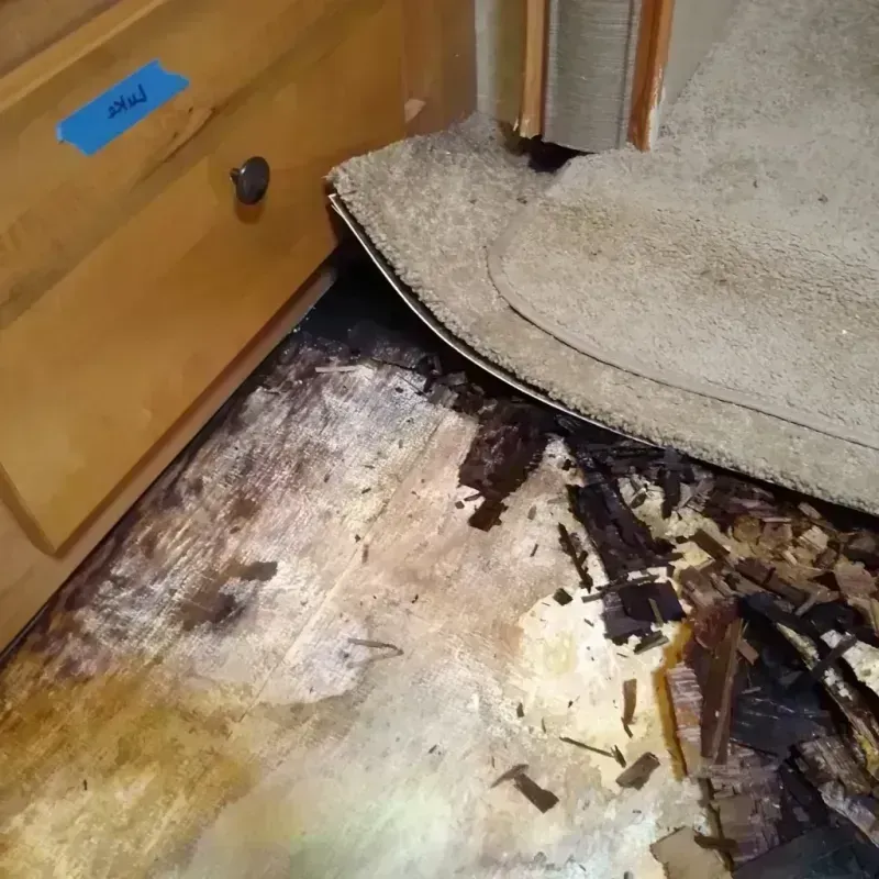 Wood Floor Water Damage in Great Bend, KS